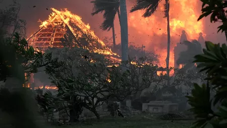 Incendiile din Hawaii au făcut zeci de victime! Situația este critică - FOTO