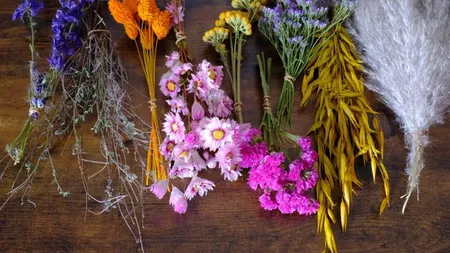 Cum să usuci flori acasă. Idei de aranjamente din buchete flori uscate