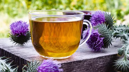 Ce contraindicații există în consumul de ceai de armurariu? Iată și beneficiile