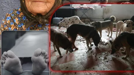 O bătrână din Iași, găsită moartă în propria casă! Femeia era mușcată de câinii pe care îi îngrijea: „Locuia singură și o mai ajutau vecinii” - EXCLUSIV/FOTO