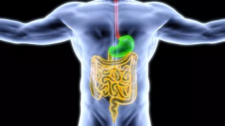 Afecțiuni care distrug sistemul digestiv la om. Cum pot fi acestea identificate la timp pentru a preveni agravarea lor