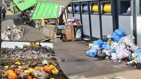 Ieșenii au aruncat mai puține deșeuri de sărbători datorită scumpirilor de produse: „Nu este o diferență mare, dar se observă de la an la an” - VIDEO