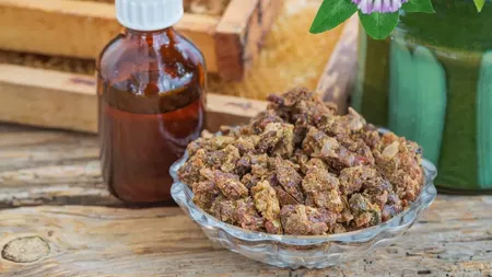 Tinctura de propolis afectează ficatul? Iată care este adevărul din spatele produselor apicole