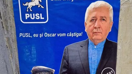 Un candidat la primărie și-a pus pe afișul electoral o poză furată cu o pisică! Oscar de fapt e Louis și este din Germania!