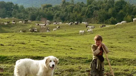 În cinci localităţi, elevii au intrat deja în vacanţă! Motivul este halucinant!