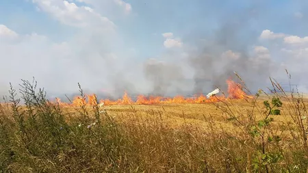 Fermierii trebuie să respecte regulile APIA. Este interzisă incendierea miriștilor