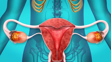 Gerovital pastile menopauză: soluția naturală pentru echilibrul hormonilor la femei