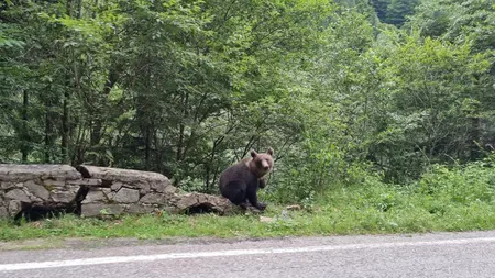 Turiștii români care merg în vacanță trebuie să țină cont de noua lege! Se dau amenzi mari dacă fac asta