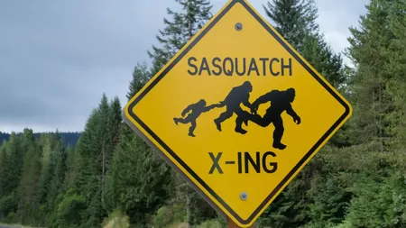 Un drumeț îngrozit susține că l-a filmat pe legendarul Bigfoot: „Cel mai înfricoșător moment din viața mea”