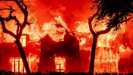 Actriță româncă prinsă în infernul din Los Angeles! „Este o teroare numită deja «Apocalipsa LA-ului»