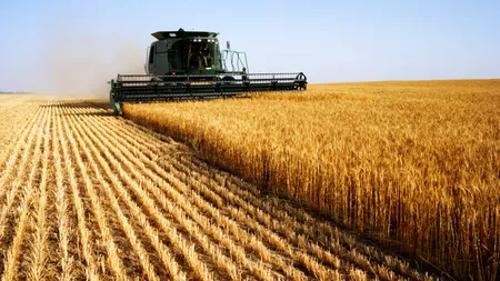 Țara care investește în terenurile agricole din România! Ce sume primesc proprietarii români