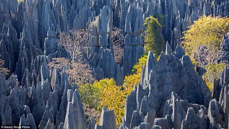 Padurea de piatra din Madagascar, un loc unic in lume - FOTO