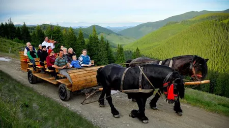 O plimbare in Muntii Rodnei cu caruta trasa de cai - FOTO
