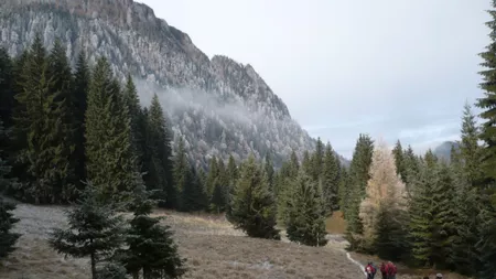 Traseu montan Bucegi: Busteni - Caminul Alpin - Poiana Costilei - Poiana Pichetul Rosu - La Prepeleac - Cabana Malaiesti