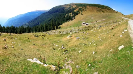 Traseu drumetii: Cabana Ranca - Varful Papusa - Curmatura Oltetului
