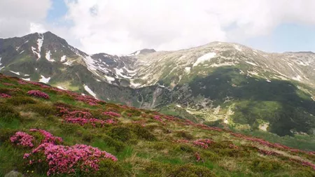 Exploreaza parcurile nationale Muntii Maramuresului si Muntii Rodnei, atractia amatorilor de drumetii - FOTO
