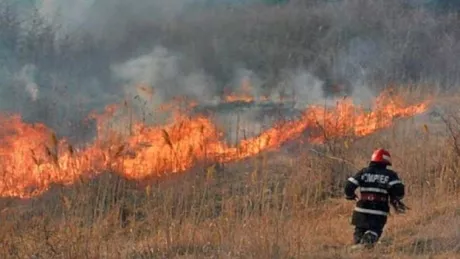 Incendiu de vegetatie pe o strada din Iasi. Au intervenit pompierii