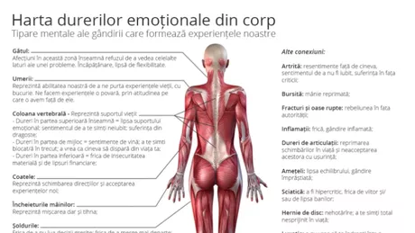 Harta DURERILOR EMOTIONALE din corp Afla cum dor sentimentele
