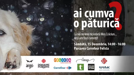 Campania Ai cumva o paturica in parcarea de la Carrefour Felicia. Doneaza si tu pentru a ajuta animalele neajutorate