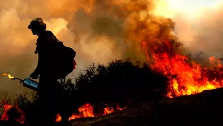 Incendiile de vegetaţie au reînceput în anul 2021 în Australia