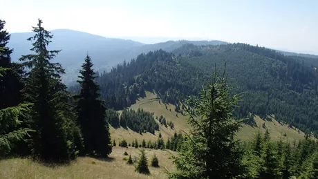 Traseu montan în Parcul Cheile Bicazului-Hășmaș