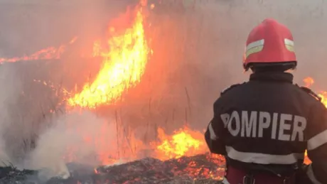 Bizar Piromanii le-au dat de lucru pompierilor ieșeni Au pus foc intenționat la o cabină de duș și la un depozit