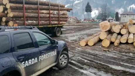 ACTIVITATEA DE CONTROL a Gărzii Forestiere Suceava pe raza județului Suceava în perioada 02.12.2019  10.12.2019