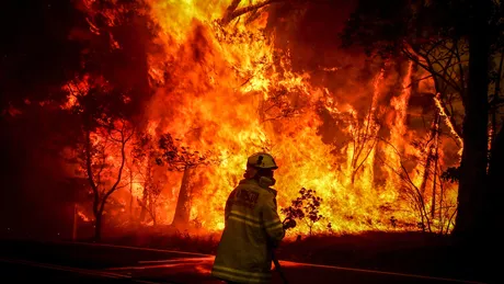 Bilanț trist în Australia. 20 din păduri au ars anul acesta