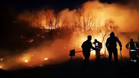 EXCLUSIV Incendiu de vegetație într-o localitate ieșeană