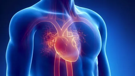 Bolile cardiovasculare favorizate de zgomot