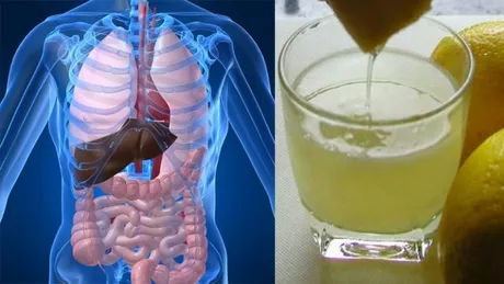 Aşa se detoxifiază colonul în câteva zile