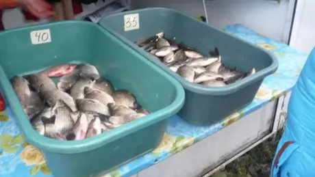 Atenție la comercianții ambulanți Pește confiscat pentru că nu avea acte de proveniență