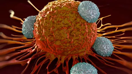 Cinci alimente care distrug celulele canceroase
