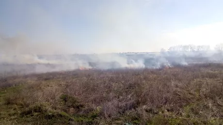 Peste 5.000 mp de vegetaţie au fost cuprinse de flăcări lângă Capitală - FOTO