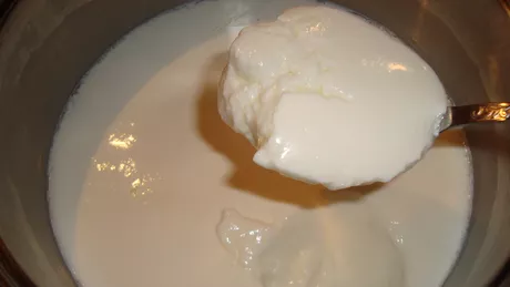 Beneficiile iaurtului si reteta de preparat in casa