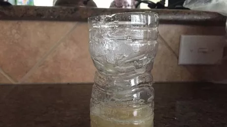 Cum se face o capcană pentru muște dintr-o sticlă de plastic