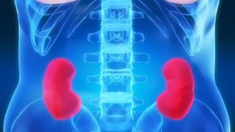 Cele mai banale simptome care îţi arată că ai probleme cu rinichii