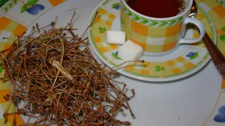 La ce este bun ceaiul din cozi de cireşe