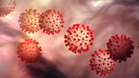 Bilanțul devastator al pandemiei de coronavirus din Iran Peste 11.000 de morți