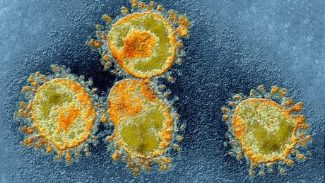O nouă tulpină de virus cu potențial de pandemie a fost descoperită în China