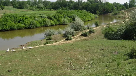 În Lunca Jijiei vor fi create coridoare verzi care să ofere mai mult spațiu pentru râuri în caz de inundații în Iași și zona Moldovei