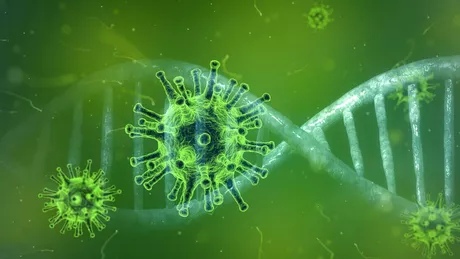 Studiu șoc despre pandemia de coronavirus din România În august am putea reintra în starea de urgență