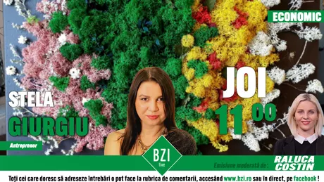 LIVE VIDEO - Tablourile cu licheni colorați la mare căutare în plină pandemie de Covid-19. Stela Giurgiu antreprenoare din Iași discuta despre acest hobby transformat în afacere numai la BZI LIVE - FOTO