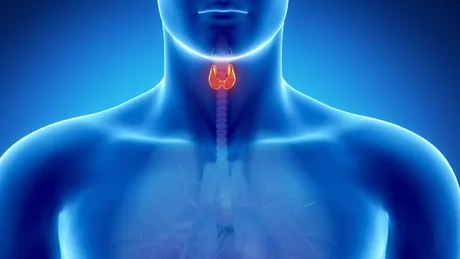 Eliminarea tiroidei care sunt consecințele unei tiroidectomii
