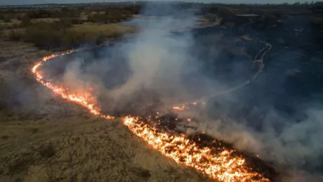 Incendii de vegetaţie devastatoare în Siberia