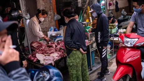 Vietnam interzice importurile de animale sălbatice. Ce alte măsuri au fost impuse