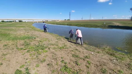 Se adună peștii morți din Bahlui și Jijia. Specialiștii ABA Prut-Bârlad susțin că mortalitatea piscicolă este din cauza lipsei de oxigen și a caniculei