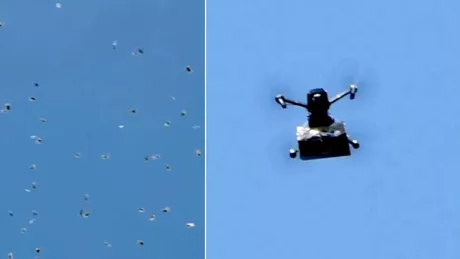 Ploaie cu cannabis în Israel Dronele au aruncat cu pachetele de iarbă - FOTO VIDEO
