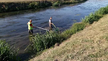 Iată ce specii de pești trăiesc în râurile Bahlui Prut Bașeu sau Bârlad. Specialiștii din cadrul ABA Prut-Bârlad au inventariat fauna piscicolă