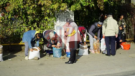 Comercianții de ciuperci care vând în afara pieței Alexandru din Iași verificați de autoritățile locale. Au fost aplicate amenzi de 11.000 de lei